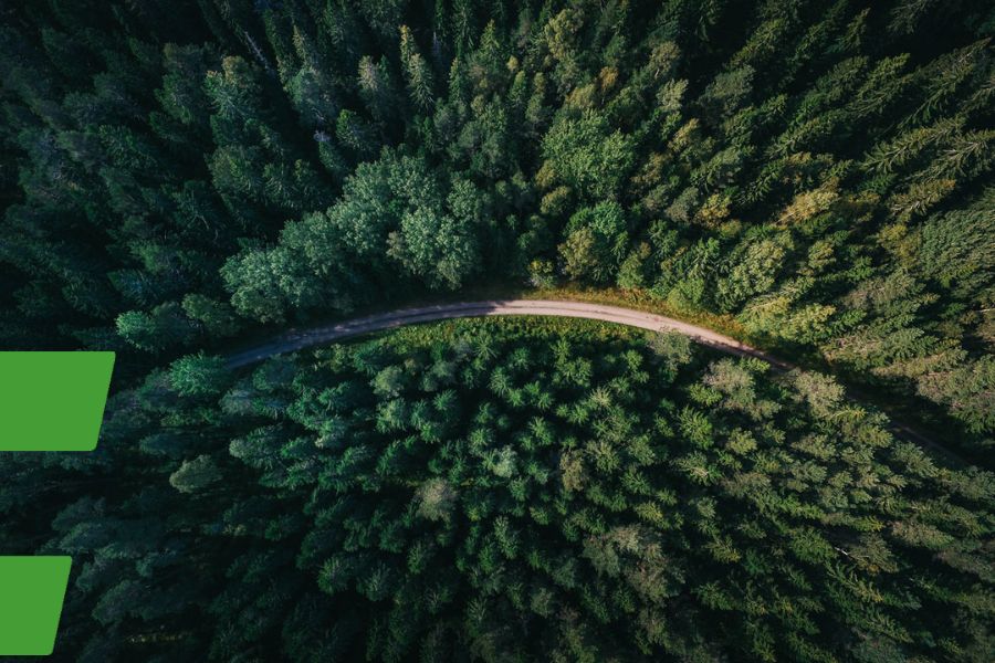 Senkst du auch schon die hohen Stromkosten durch kostenlosen Solarstrom?