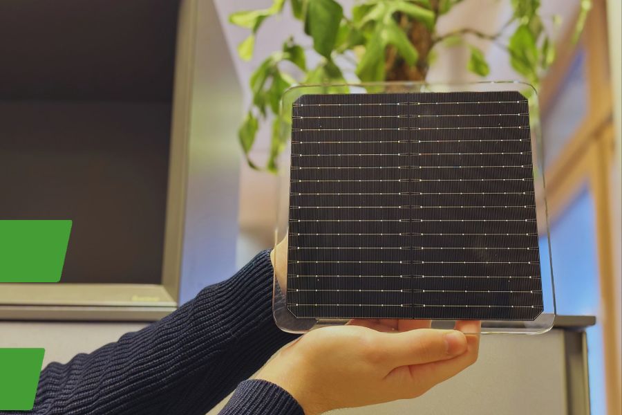 Jemand hält Solarzellen